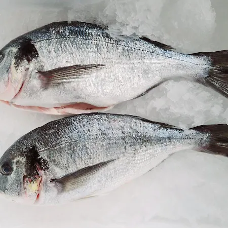 Kastiel Ottlyk * Bánovce nad Bebravou